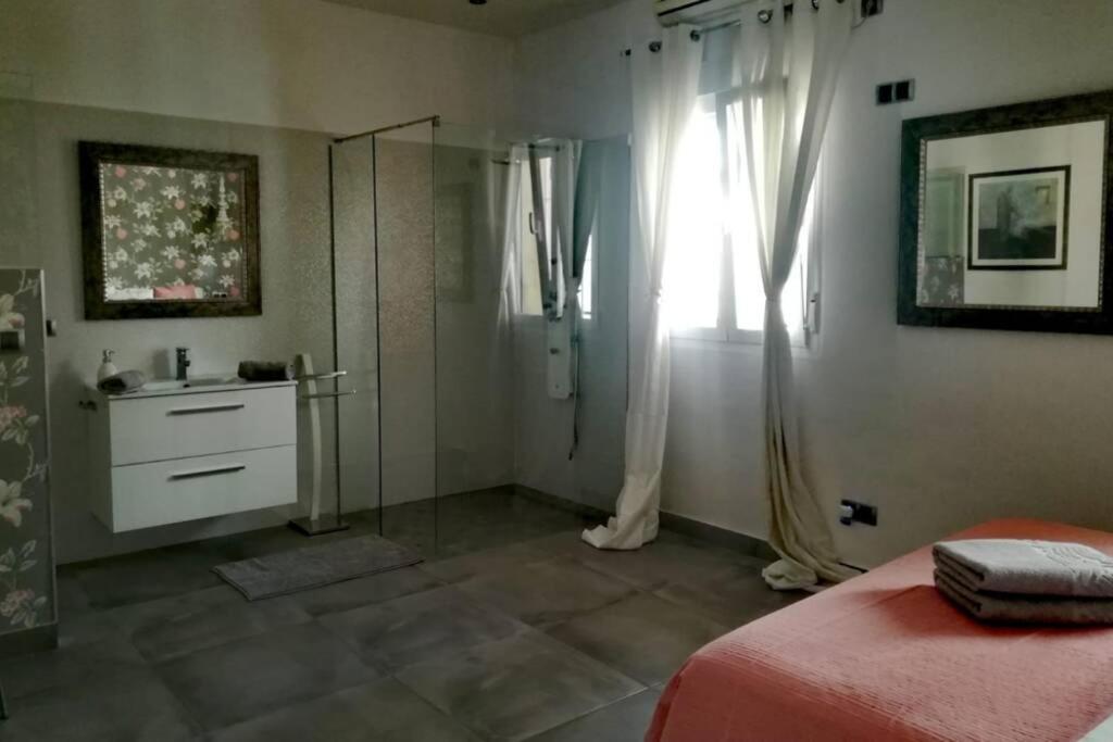شقة El Patio De San Bernardo إشبيلية المظهر الخارجي الصورة