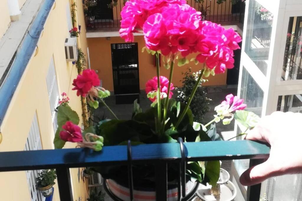 شقة El Patio De San Bernardo إشبيلية المظهر الخارجي الصورة