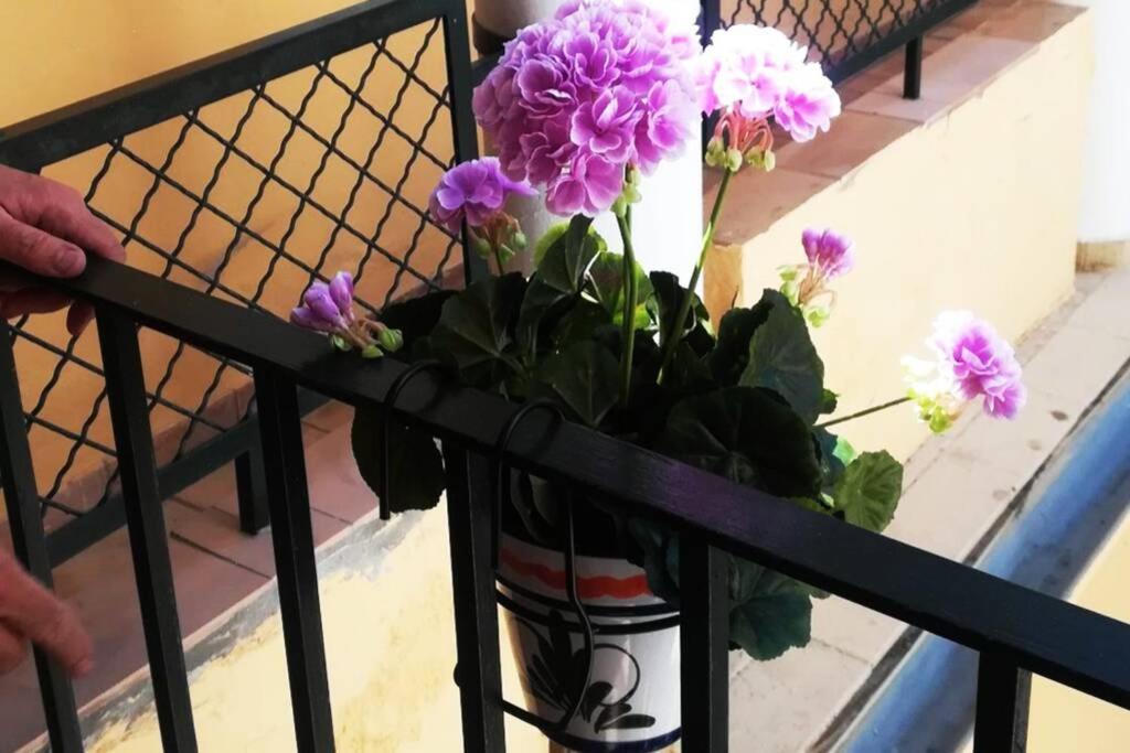 شقة El Patio De San Bernardo إشبيلية المظهر الخارجي الصورة