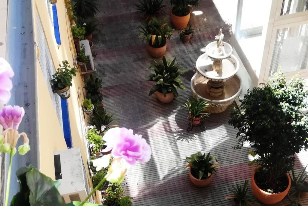 شقة El Patio De San Bernardo إشبيلية المظهر الخارجي الصورة